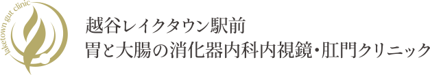 越谷レイクタウン駅前胃と大腸の消化器内科内視鏡・肛門クリニック