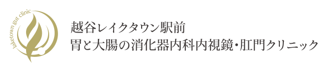 越谷レイクタウン駅前胃と大腸の消化器内科内視鏡・肛門クリニック