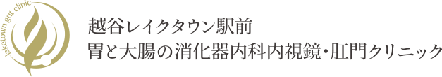 越谷レイクタウン駅前胃と大腸の消化器内科内視鏡・肛門クリニック
