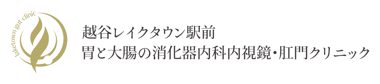 越谷レイクタウン駅前胃と大腸の消化器内科内視鏡・肛門クリニック